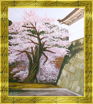 オリジナル-皇居のさくら