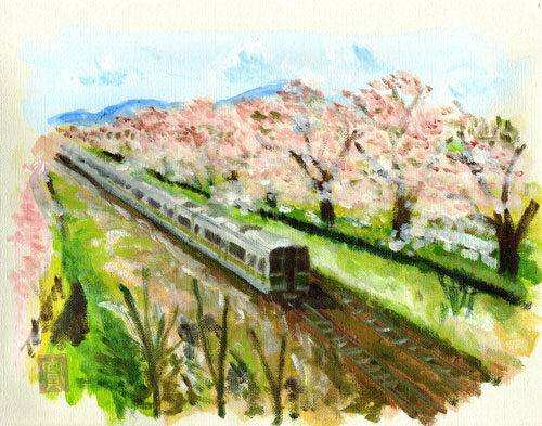 オリジナル-しばたの桜