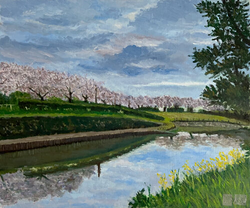 オリジナル-曇りの日の夕方の桜