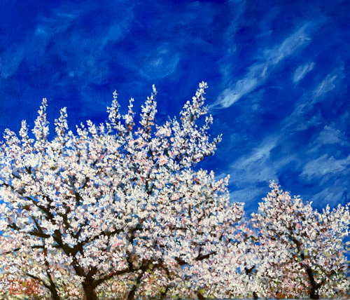 オリジナル-青空桜
